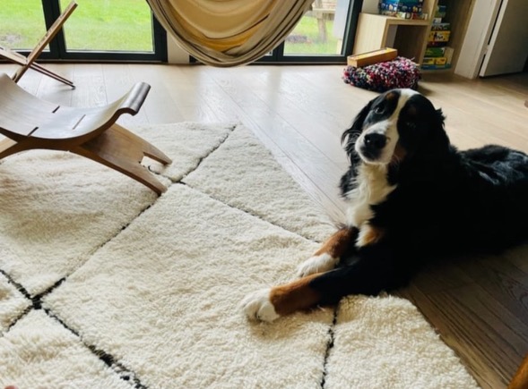 reconnaître un tapis authentique. Le tapis, pièce maîtresse d’une pièce à vivre. Comment le choisir ? On vous dit tout.